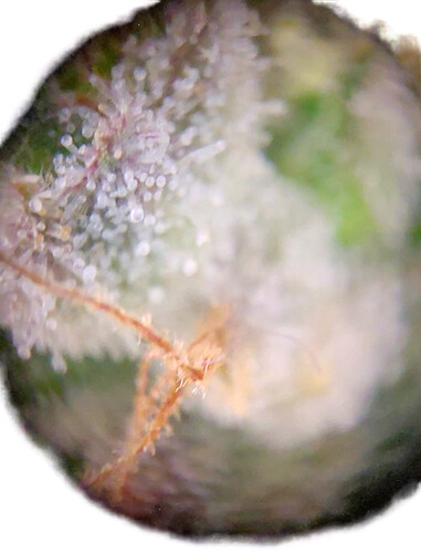 Growreport Bild 21