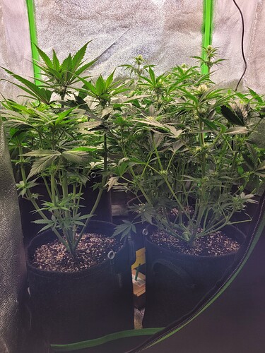 Growreport Bild 3