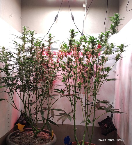 Growreport Bild 11