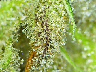 Photo_2024