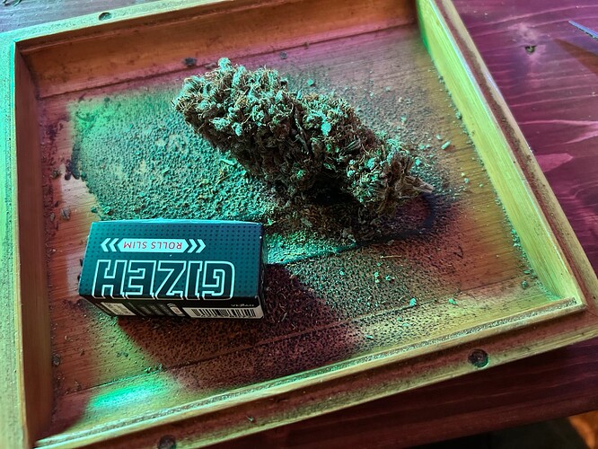 Growreport Bild 14
