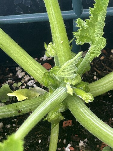 Growreport Bild 47