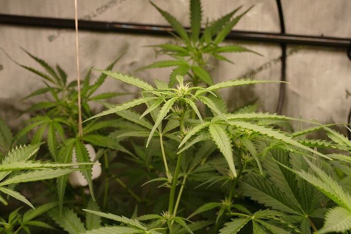Growreport Bild 23