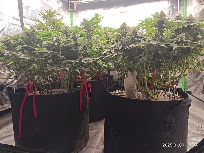 Growreport Bild 9