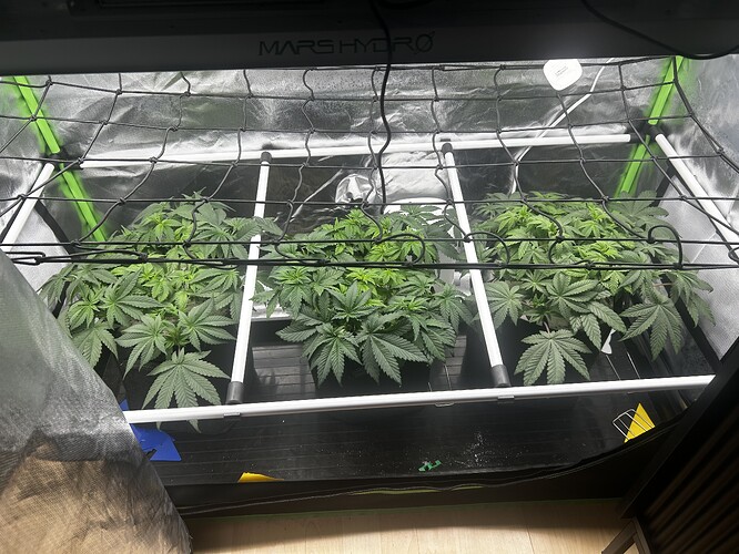 Growreport Bild 14