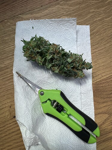 Growreport Bild 17