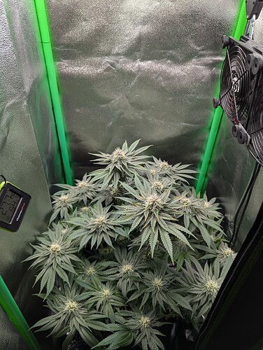 Growreport Bild 6
