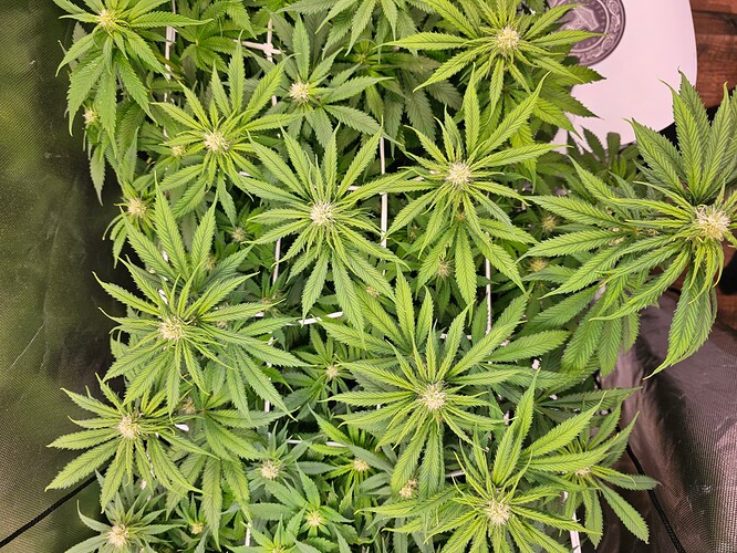 Growreport Bild 11