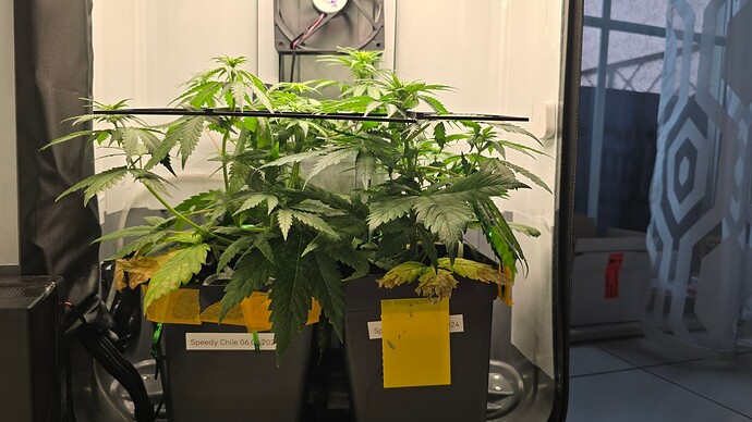 Growreport Bild 8