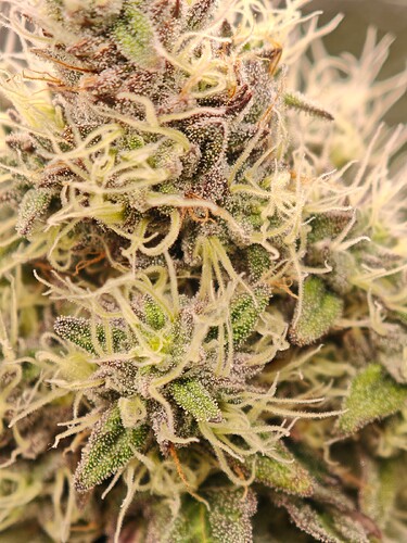 Growreport Bild 24