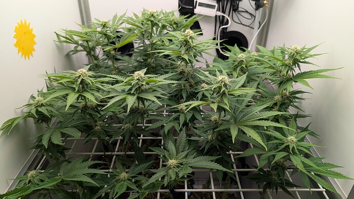 Growreport Bild 23