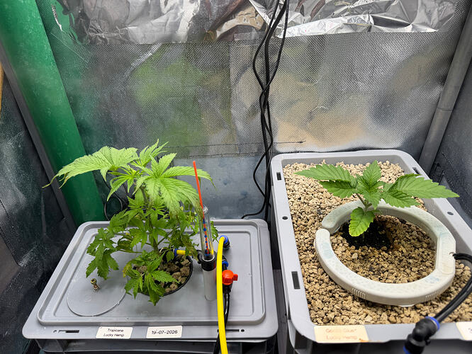 Growreport Bild 14