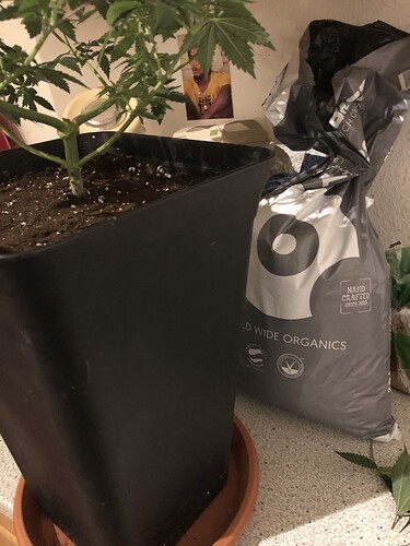 Growreport Bild 18