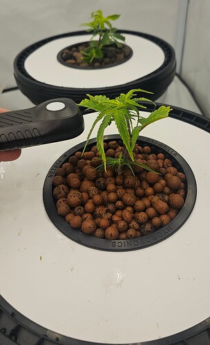 Growreport Bild 20