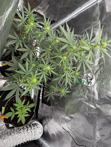Growreport Bild 18