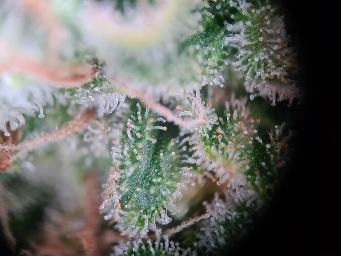 Growreport Bild 16