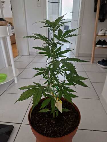 WhatsApp Image 2024-05-18 at 08.54.45 (3)