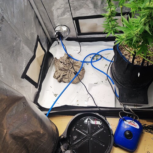 Growreport Bild 2