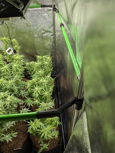 Growreport Bild 11