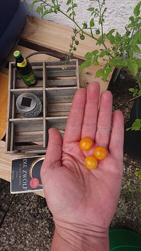 Growreport Bild 10