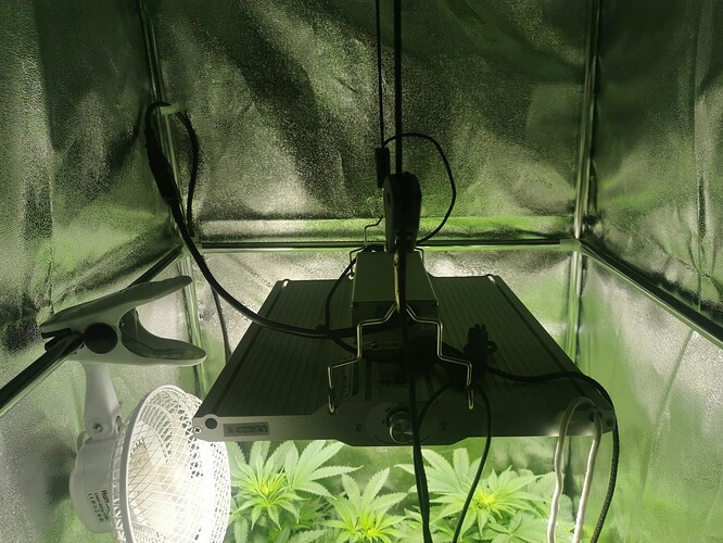 17273728469909132643021548977598