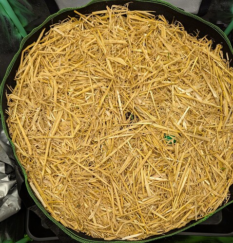 PXL_20250325_175550738