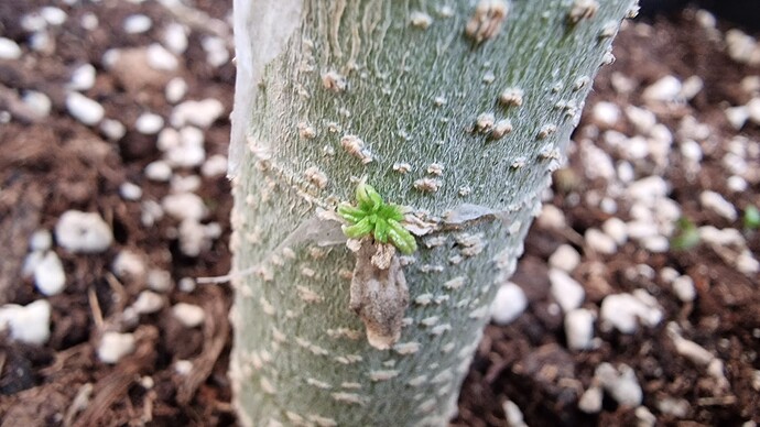 Growreport Bild 10