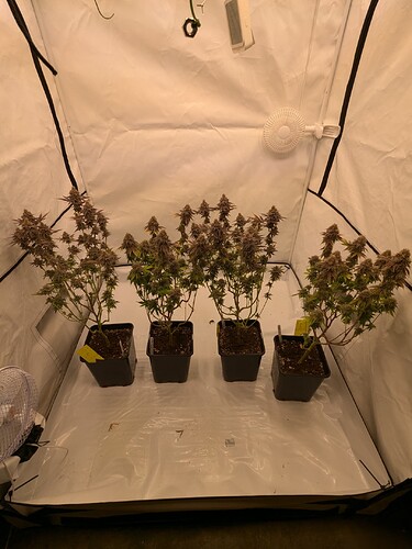 PXL_20240729_140230109