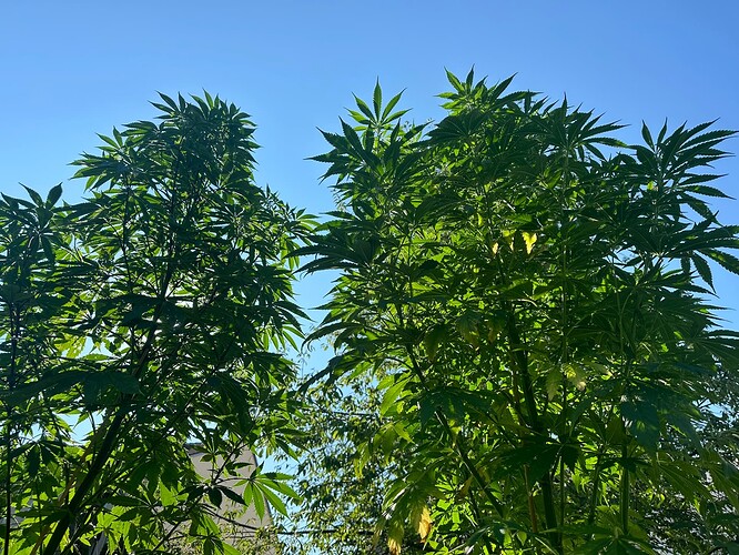 Growreport Bild 11