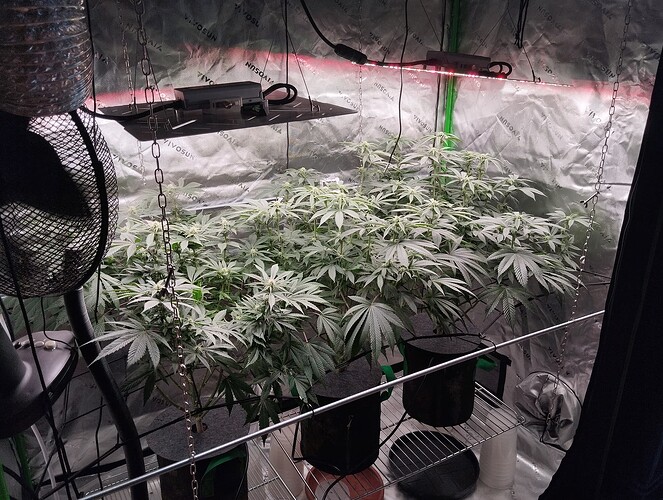 Growreport Bild 1