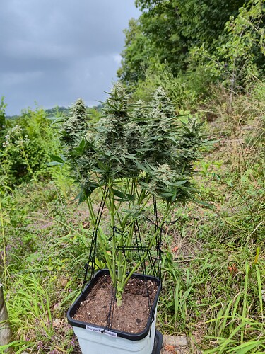 Growreport Bild 8