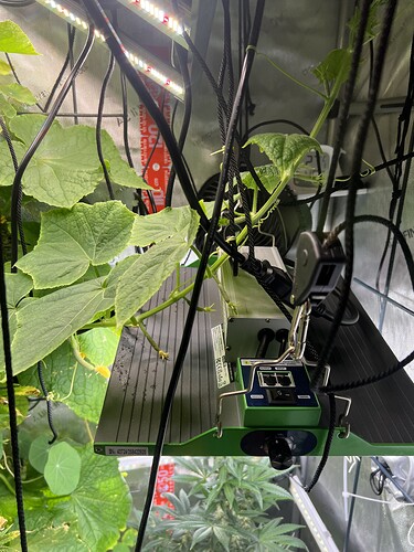 Growreport Bild 2