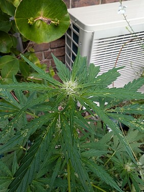 Growreport Bild 8