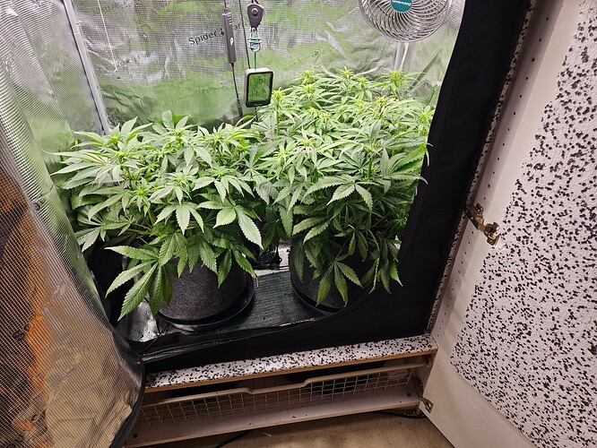 Growreport Bild 1