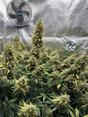 Growreport Bild 20