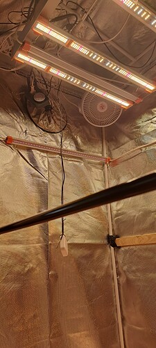 Growreport Bild 60