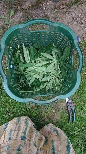 Growreport Bild 63