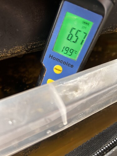 Growreport Bild 60