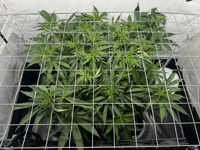 20240514_145654829_iOS