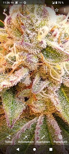 Screenshot_20240410-113652