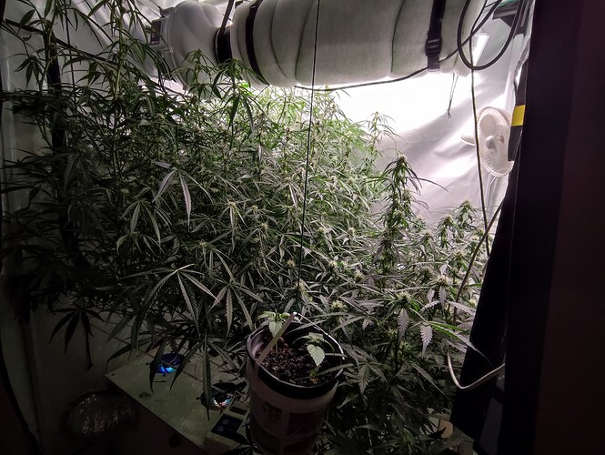 Growreport Bild 6