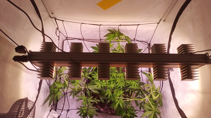 Growreport Bild 15
