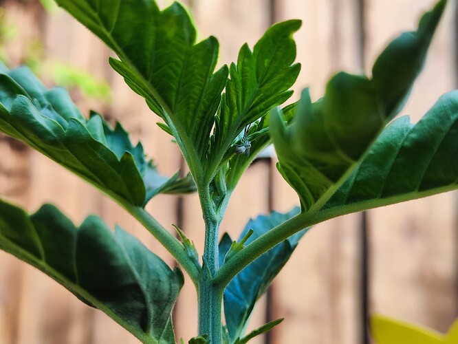 Growreport Bild 10
