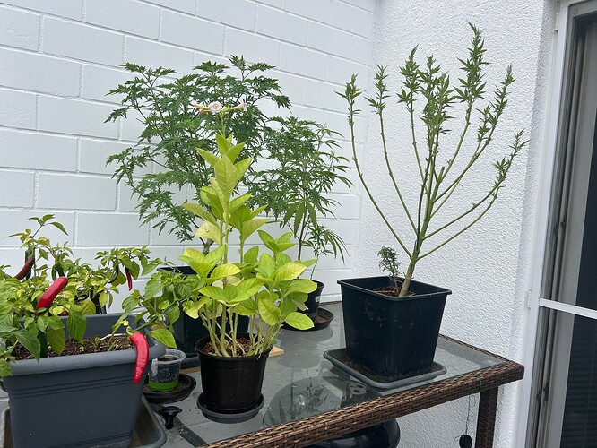 Growreport Bild 10