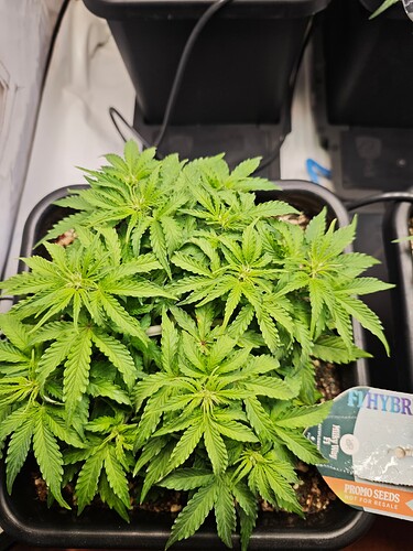 MVIMG_20251015_213346