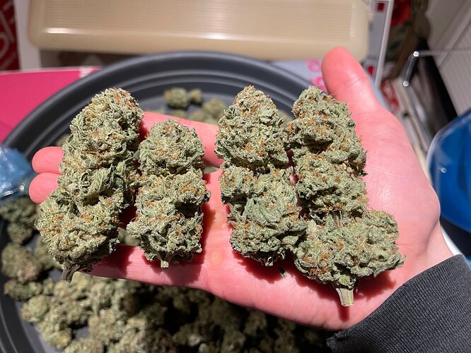 Growreport Bild 22