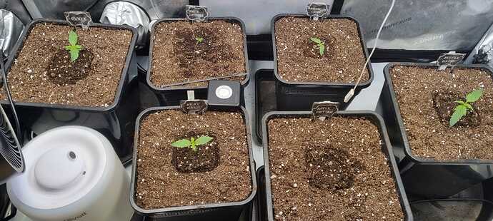 WhatsApp Image 2025-11-24 at 14.52.50 (7)