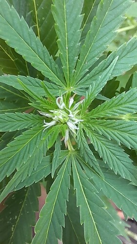 Growreport Bild 13