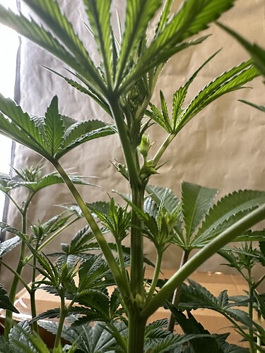 Growreport Bild 16