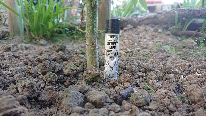 Growreport Bild 52